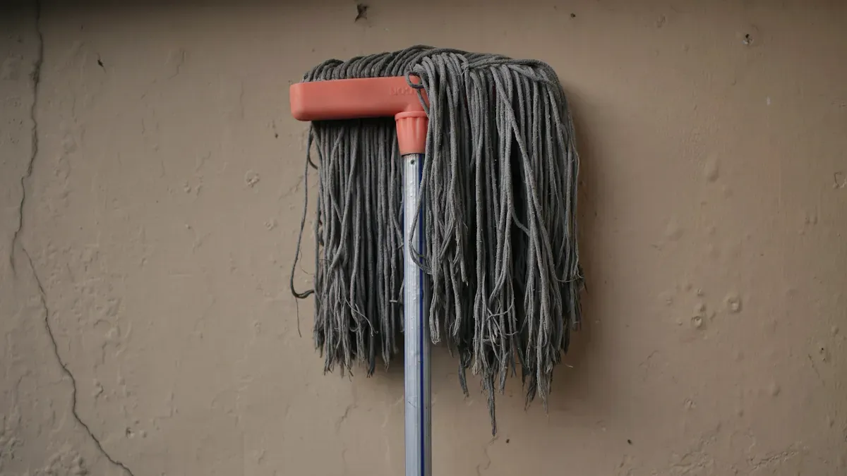 What are Traditional Mops?