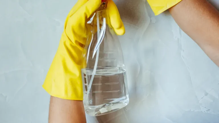 Vacuum cleaner maintenance tips: Extend lifespan and performance